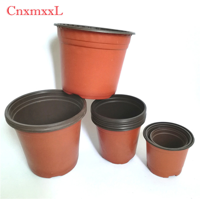 種のための二色の小さいプラスチック花の養樹園の鍋を使用して温室
