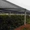 HDPEの養樹園の雑草の障壁を得る防水30gsm 0.4m-6mのプラスチック陰