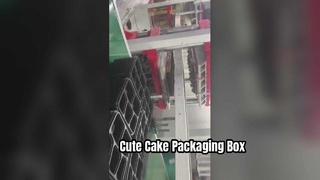 自動ブリスター包装