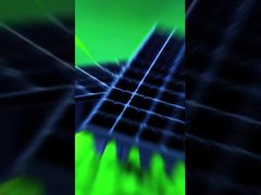 実生植物の皿