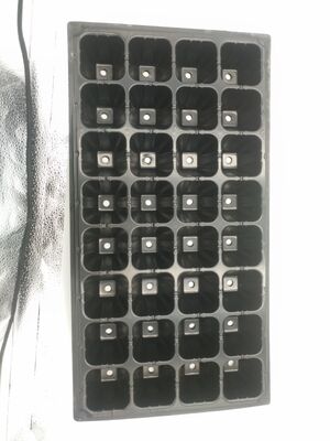 森の木のための2ミリ厚の32細胞のプラスチック種植皿 - 老化に耐性があり耐久性があります