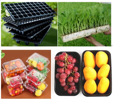 Customized Design Recyclable PET Plastic Blister Packaging with Heat Sealing for Fresh Produce