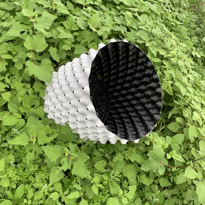 植樹 植物 植樹 植物 植物 植物 植物 植物 植物 植物 植物 植物 植物 植物 植物 植物 植物 植物 植物 植物 植物 植物 植物 植物