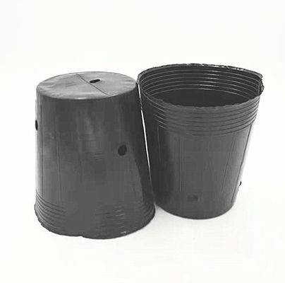 HDPE プラスチックの保育器 洋豆の種子 温室用の黒いポット