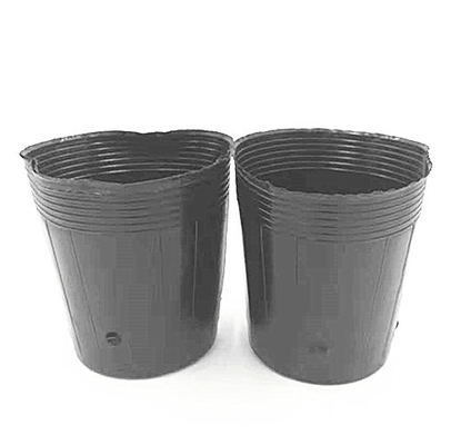 HDPE プラスチックの保育器 洋豆の種子 温室用の黒いポット