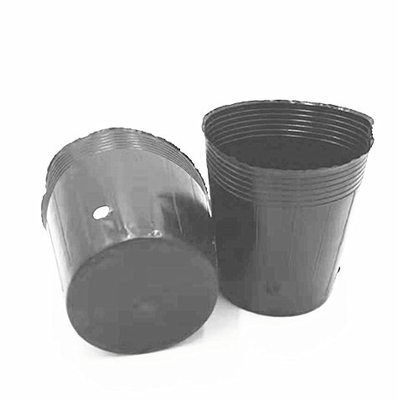 HDPE プラスチックの保育器 洋豆の種子 温室用の黒いポット