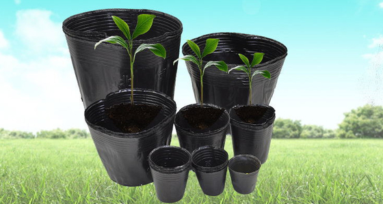 水育ソフトプラスチック 植物ポット ワタクラポット 軽量