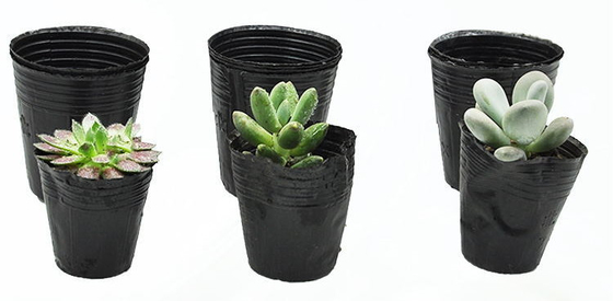 水育ソフトプラスチック 植物ポット ワタクラポット 軽量