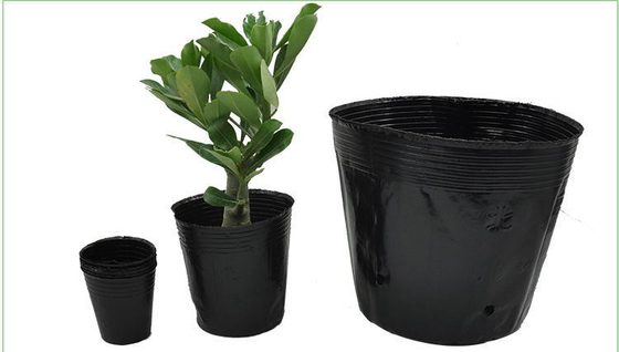 水育ソフトプラスチック 植物ポット ワタクラポット 軽量