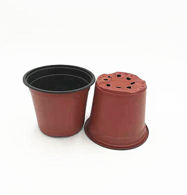 温室 や 庭 に 用い られる 使い捨て の 双色 花器