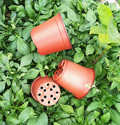 温室 や 庭 に 用い られる 使い捨て の 双色 花器