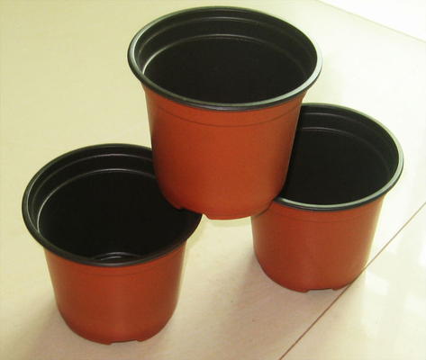 ホットセール 丸い箱 柔らかい水培新鮮花器 耐老化