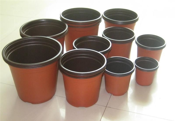 ホットセール 丸い箱 柔らかい水培新鮮花器 耐老化