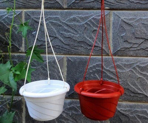 プラスチックフック 壁にぶら下がる花器 覆われていない部屋