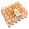 9pcs積み重ね可能なプラスチック卵のホールダー152mmの正方形の定温器の卵の設定の皿