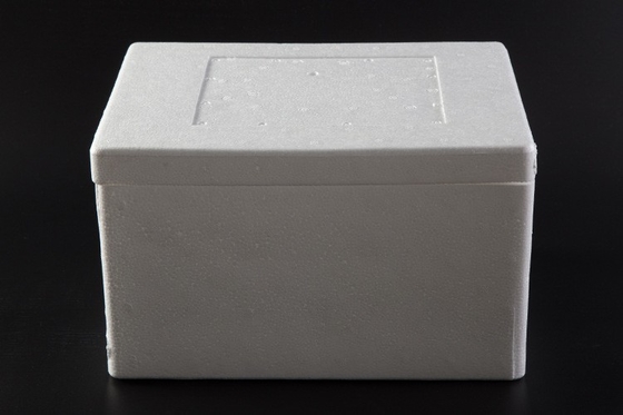 食品 果物 海鮮 エクスプレス 特別 隔熱 鮮やかに保存できる 泡箱 冷凍 包装箱