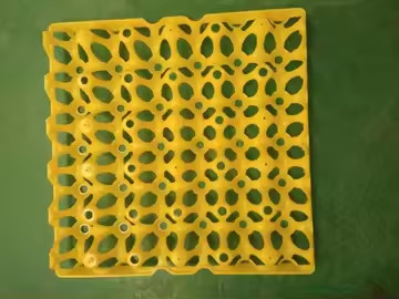 カラフル 黄色 プラスチック 泡 熱形 真空プレート 卵 梱包 輸送 30 卵 梱包