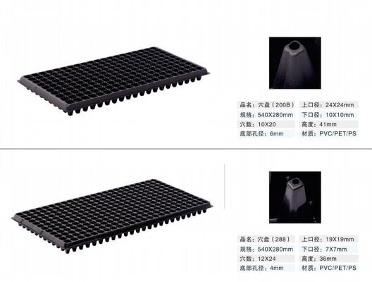200 細胞 の プラスチック の 種子 托管 - 2mm の 厚さ で,耐久 的 な 植物 繁殖 を 助ける ため,老化 に 耐える