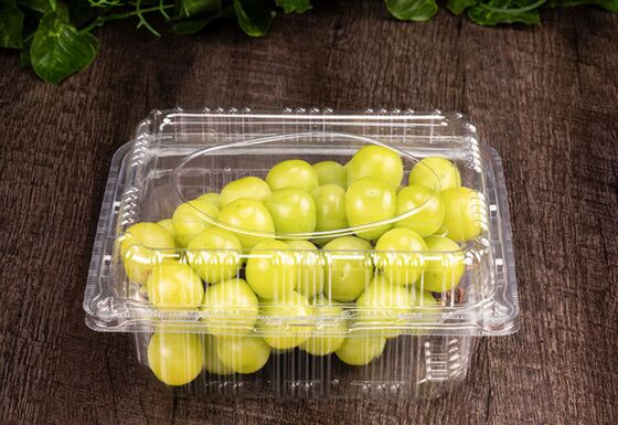 Customized PET Plastic Blister Packaging Box with Heat Sealing and Recyclable Material for Fruit and Medicine
