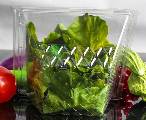 野菜・果物用、熱密封可能なカスタマイズ可能なリサイクル可能な透明包装箱