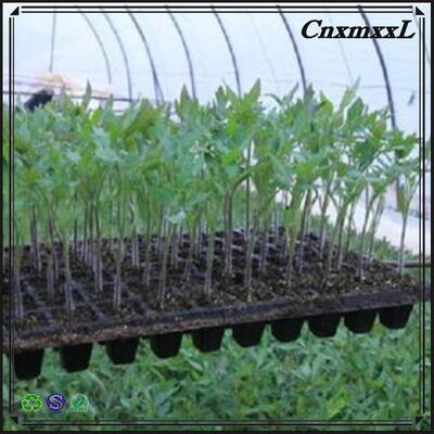 2mm厚 32 50 98 108 118 200穴 セル成型 プラスチック製 育苗トレイ (森林樹木用) - 耐老化性と耐久性